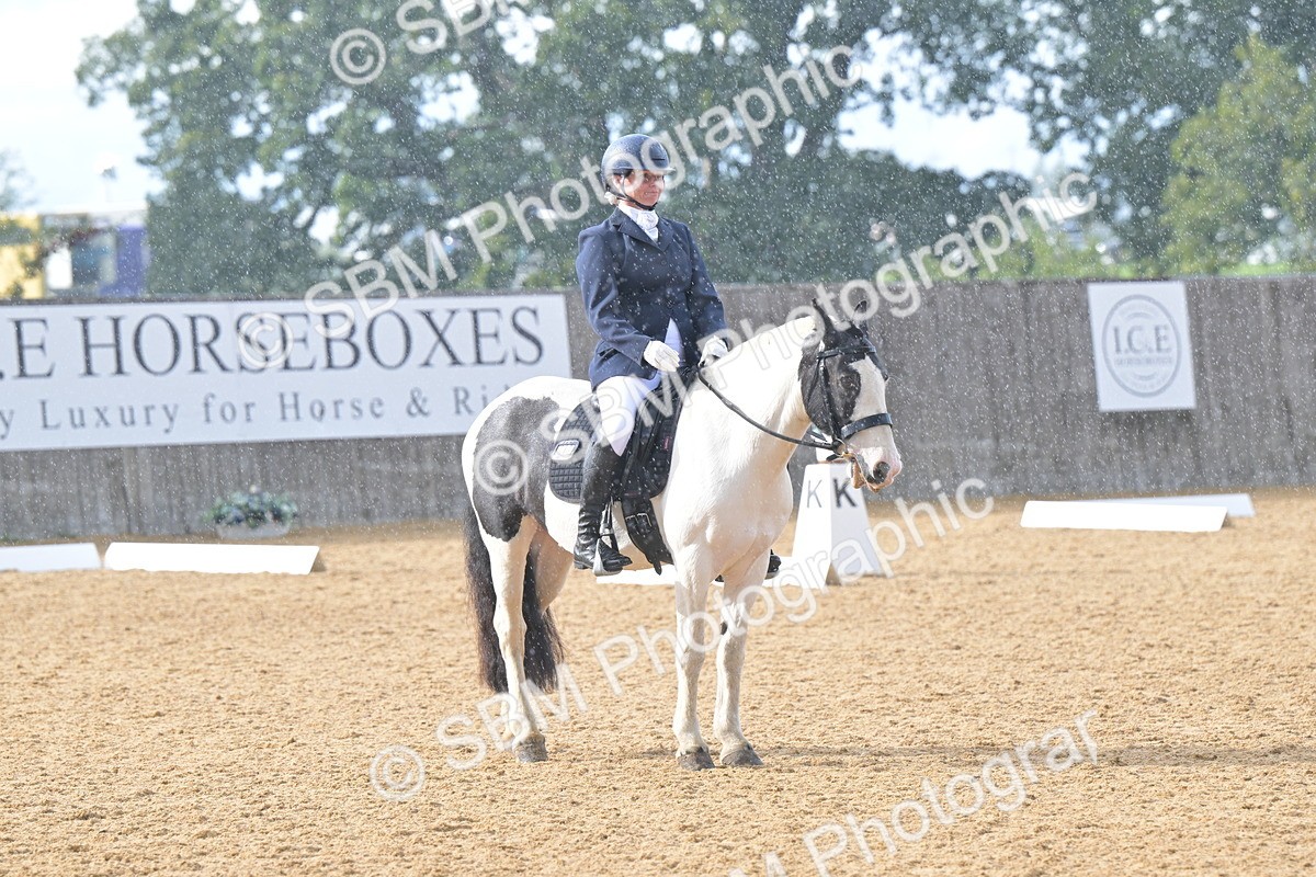 SBM_11190 - D3 - Small Tour Championship Intro 3
