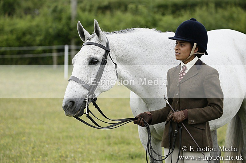 BVR160717-235 - Ring 2 BVRC Show 16/07/17