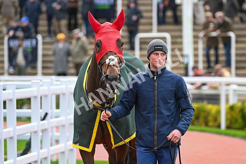 171124-Race 3-Paddock-Matata-3032 - Race 3