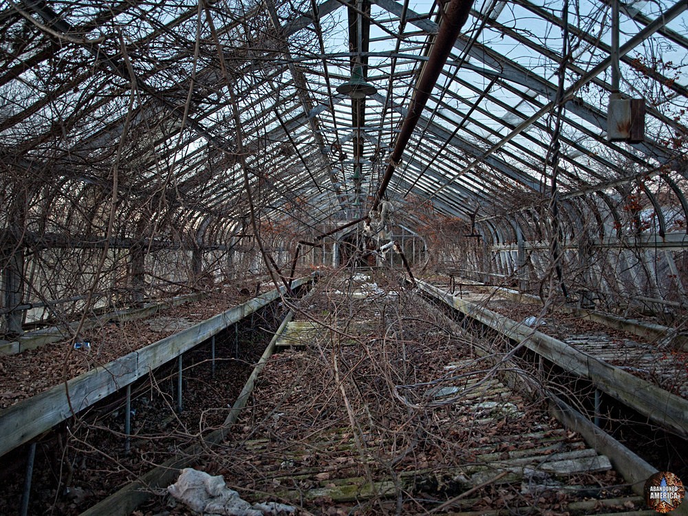 Pilgrim State Hospital (Brentwood, NY) | Barren Greenhouses - Pilgrim State Hospital