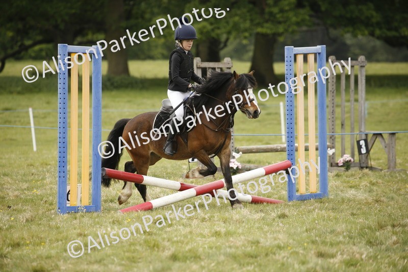 20250517-0946 - Class 2 - 30cm Off Lead Rein