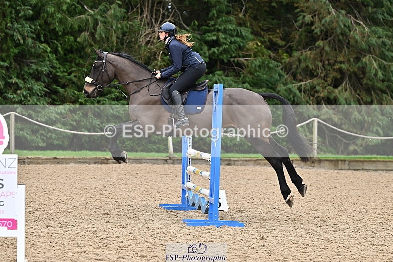 250201A-111102-00348 - Cls 02 Local Horse 100cm