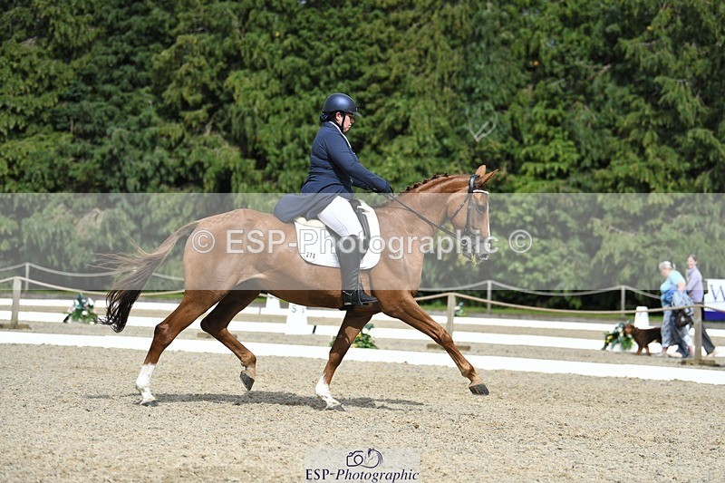 230812-154233-05182 - Cls 10 FEI Inter I Silver