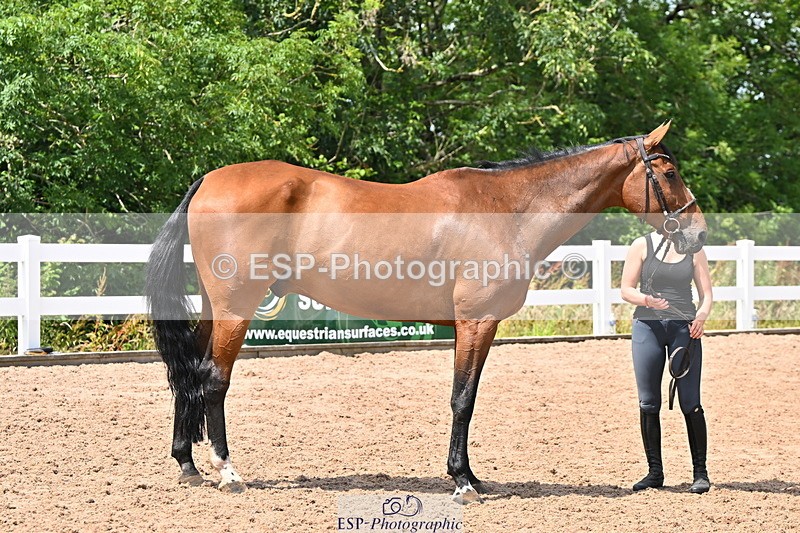 240718A-105320-01855 - Trot Up 1pm to 2pm