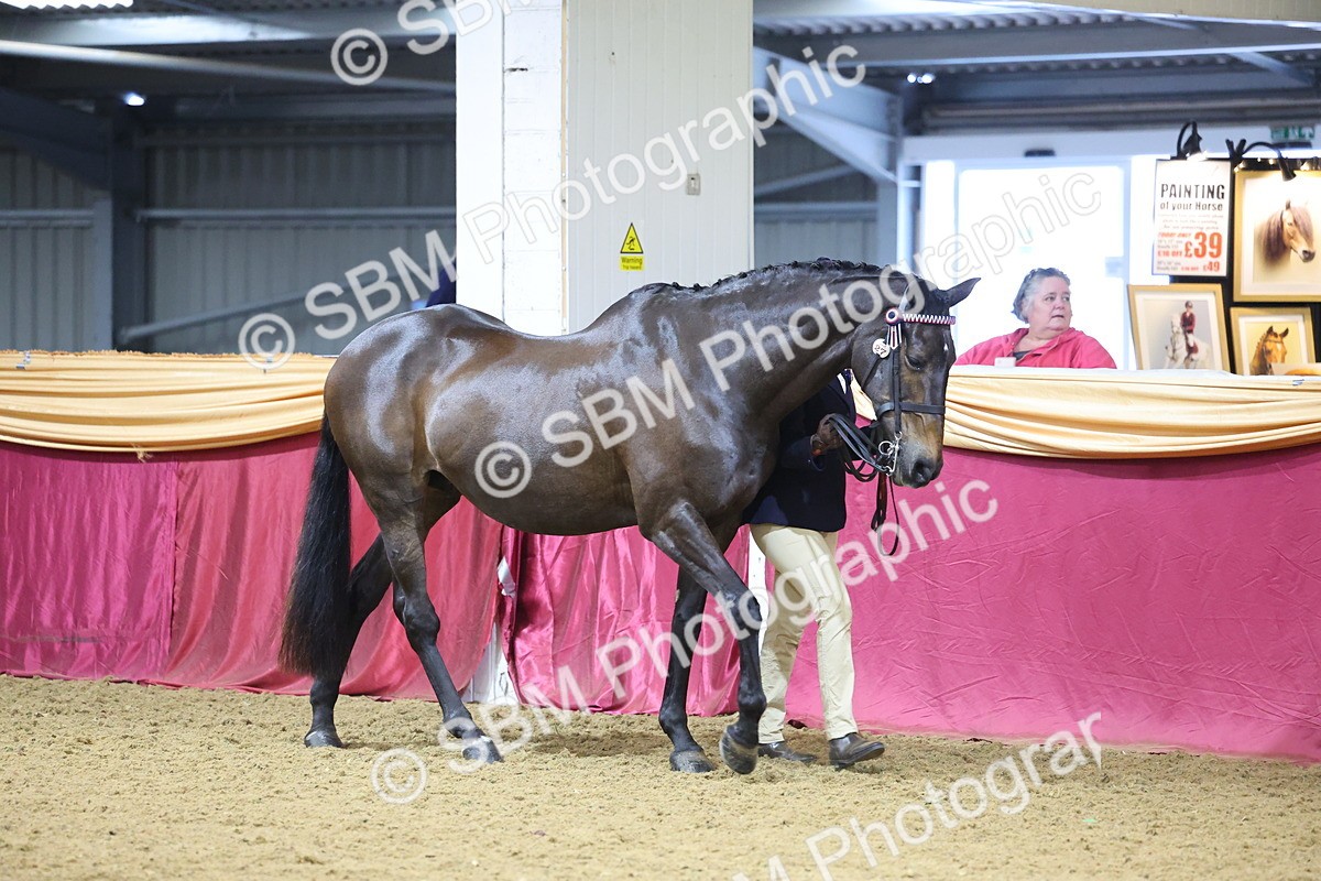 SBM_19575 - Class 901 - Supreme Final - IH Diamond