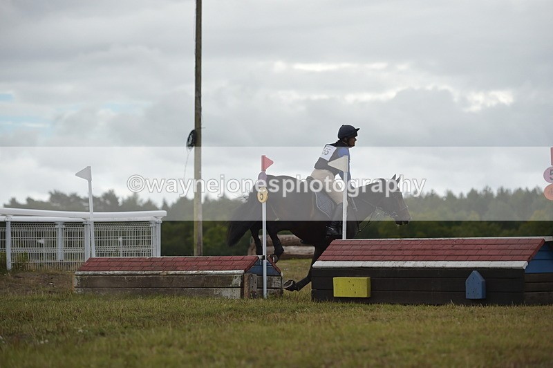 NGP_2176 - XC Time 11:20 to 11:36