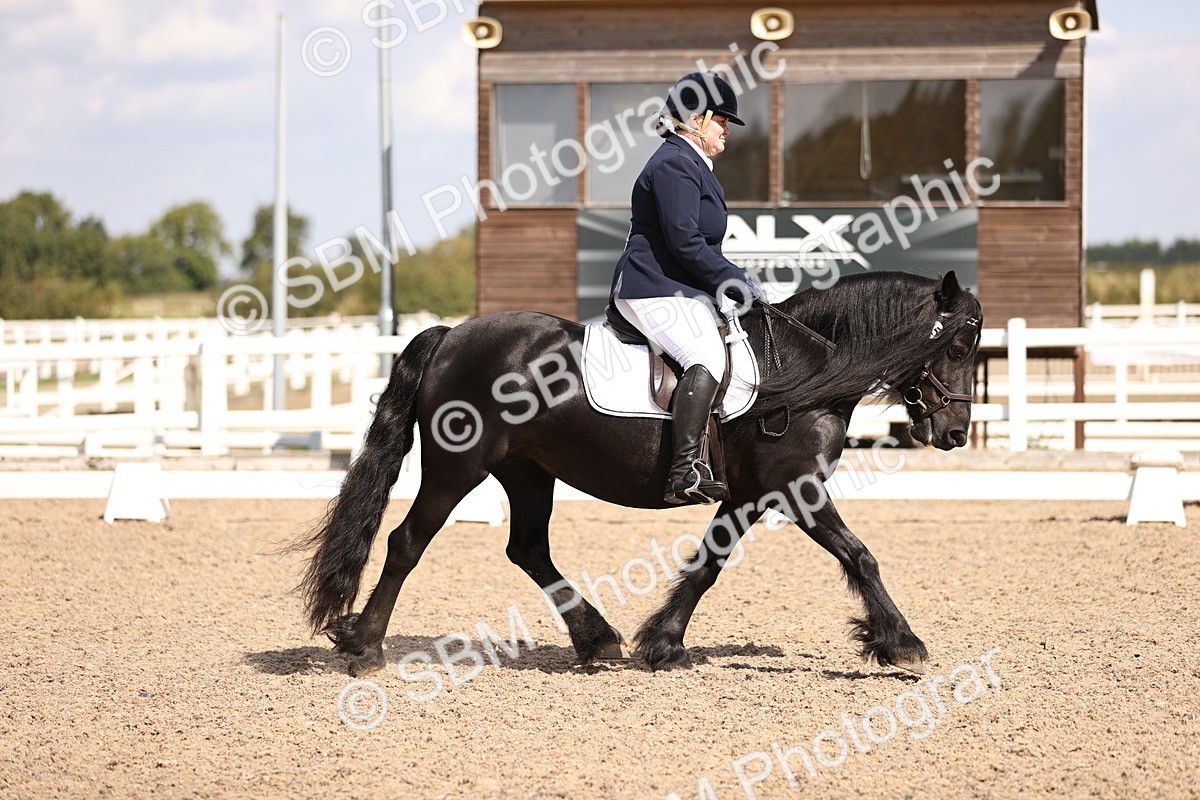 SBM_03681 - CLass 35 Intro 3