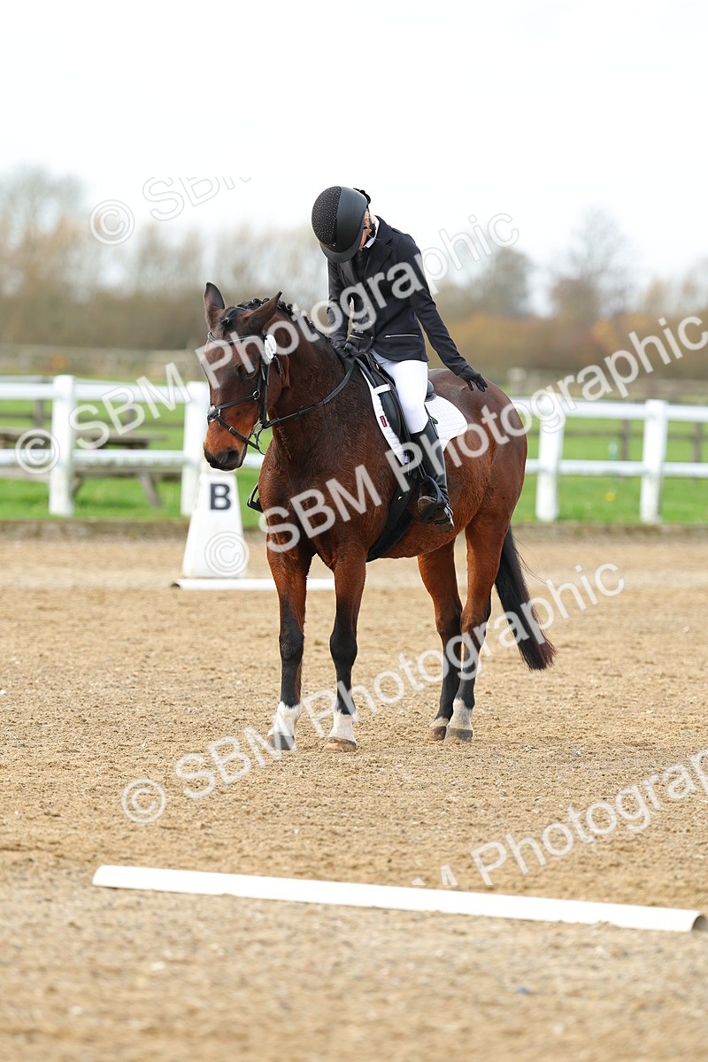 SBM_003606 - Class 6 - Novice 2