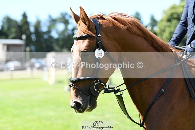 250703A-103442-00499 - Cls 11 5 Year Old