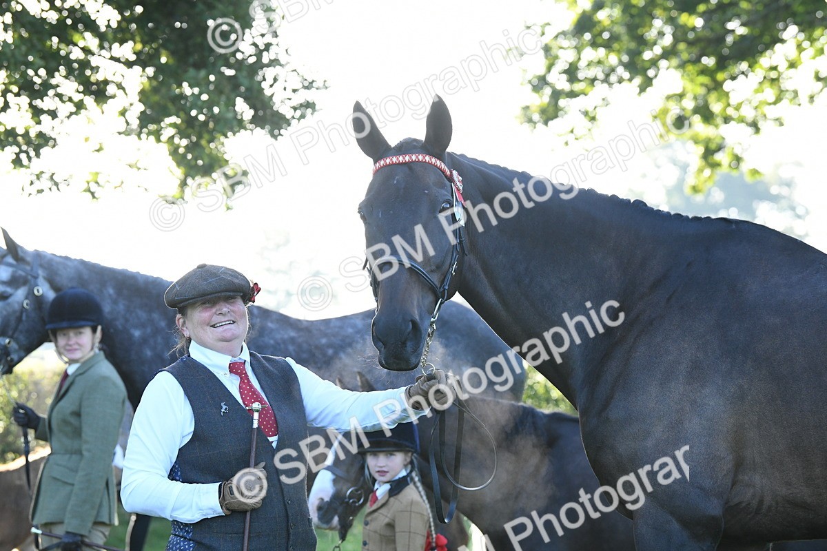 SBM_32697 - S15 - Condition & Turnout In Hand