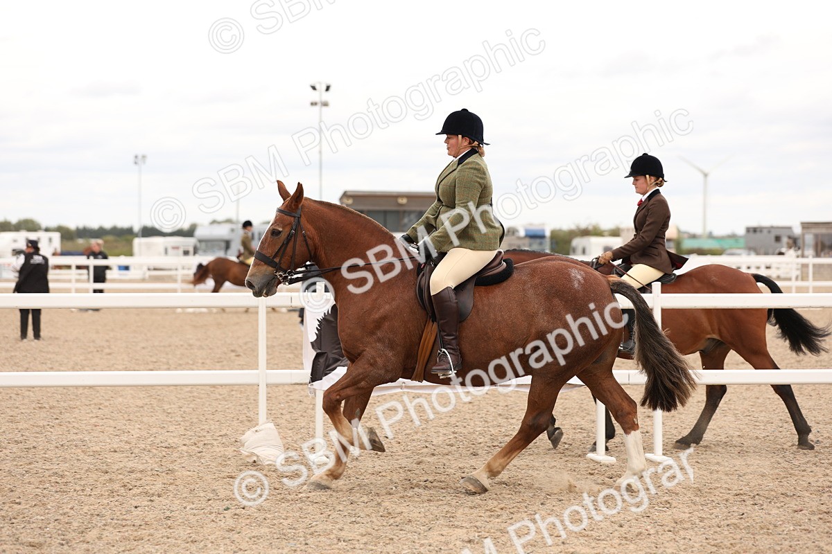 SBM_19562 - Class 215 - Ridden Show cob
