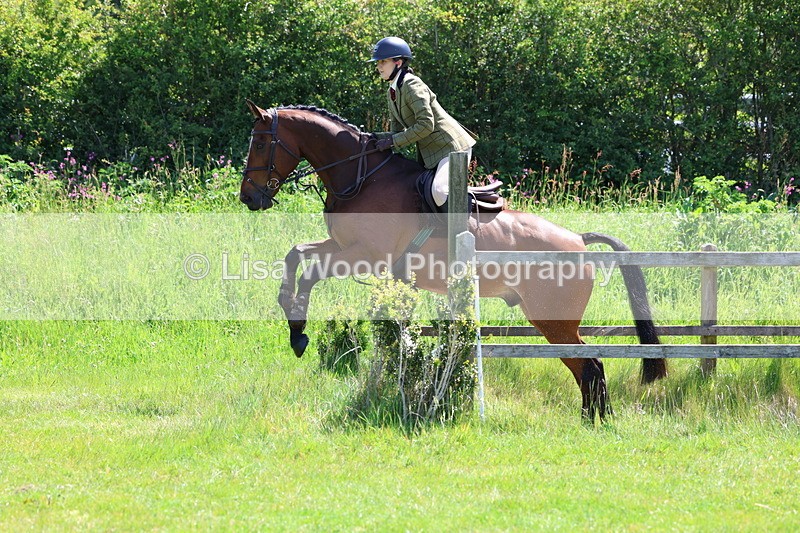 3E7A7092 - Class 30: Novice Working Hunter