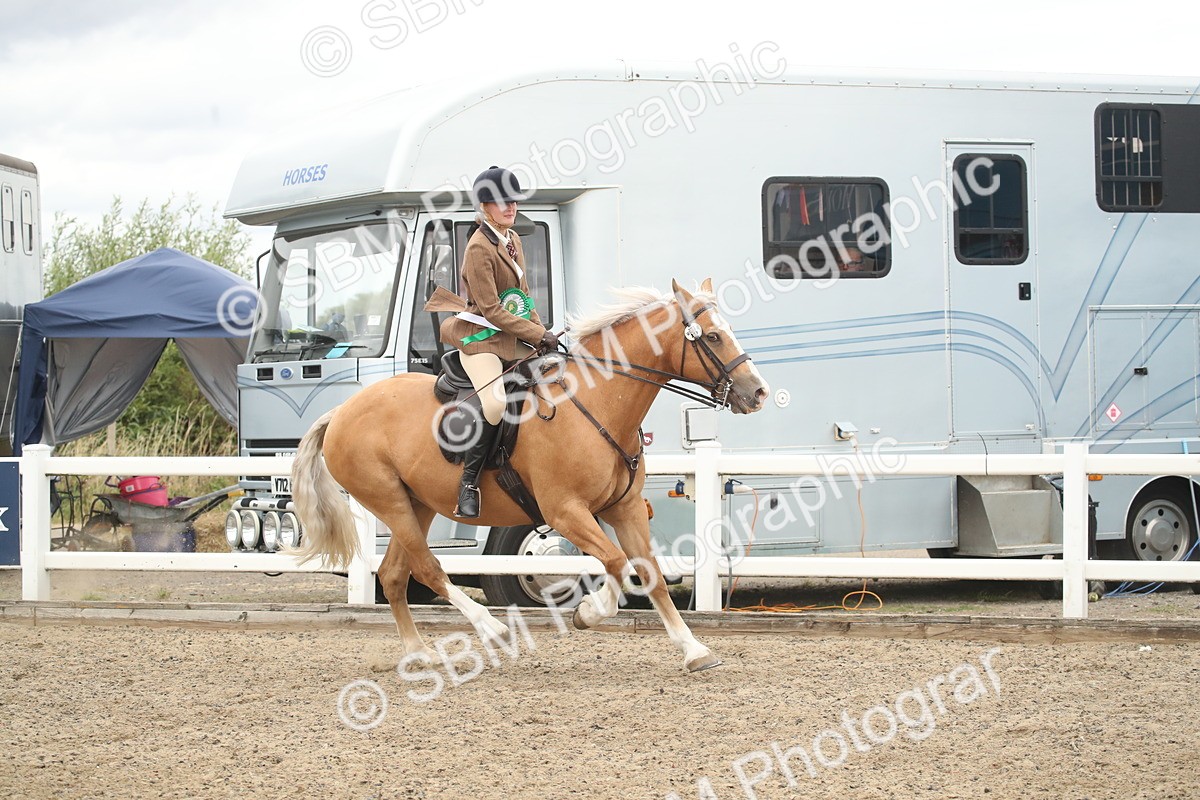 SBM_18344 - Class 509a - Working Veteran - 80cm (15-19)