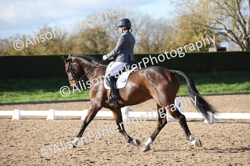 20251102-1043 - Class 5 - Elementary 5