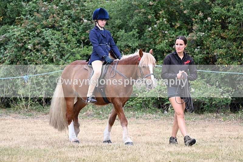 WJ7_0113 - Class 2 Best rider