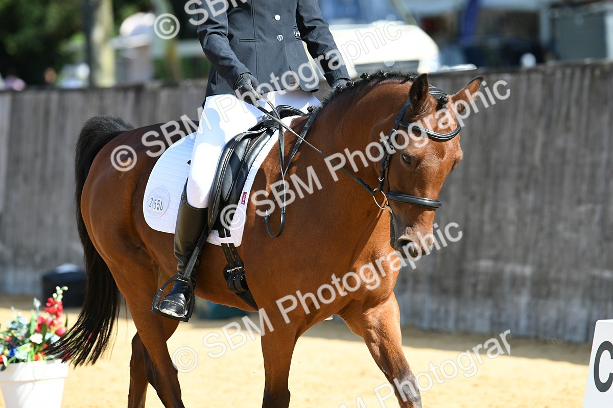 SBM_20746 - D13 - Grand Tour Championship - Prelim 12