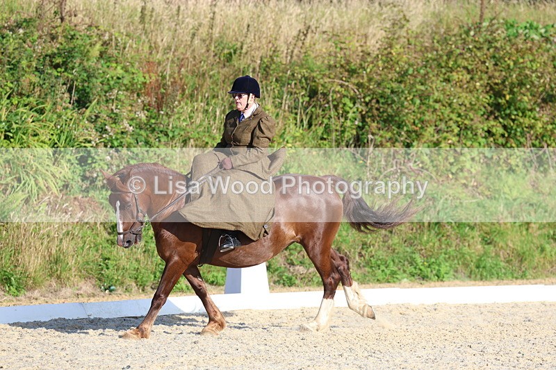 3E7A3842 - Class 3: Prelim 1 2024 Section A