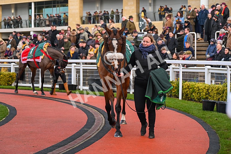 250125-Race 6-Transmission-3601 - Race 6