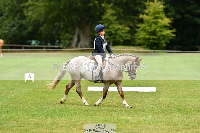 250820A-111751-04991 - 11am to 12