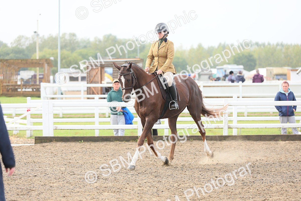 SBM_21342 - Class 805 - Ridden Veteran Horse
