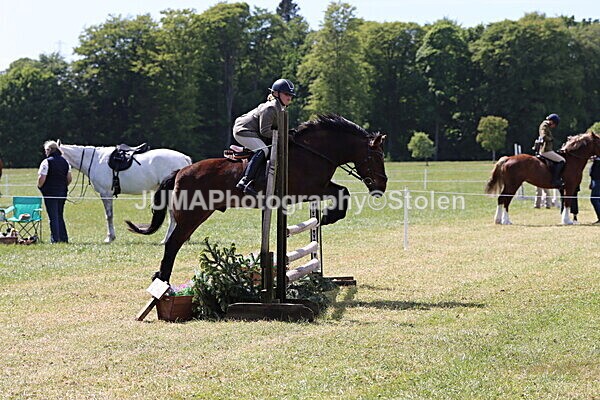 IMG_4276 - Working Hunter