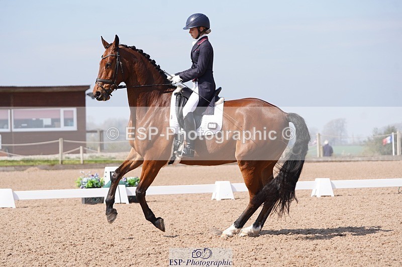 250404-122858-05664 - 028-Elizabeth.Allen-Heraldik