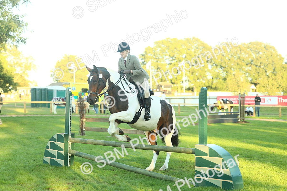 SBM_56498 - S14 - Riding Club Horse