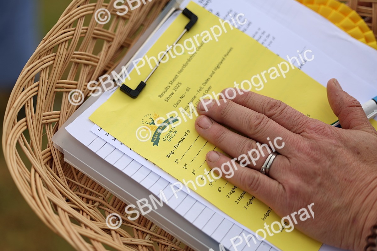 SBM_00462 - Class 58-67 - M&M Non Welsh Pony In hand