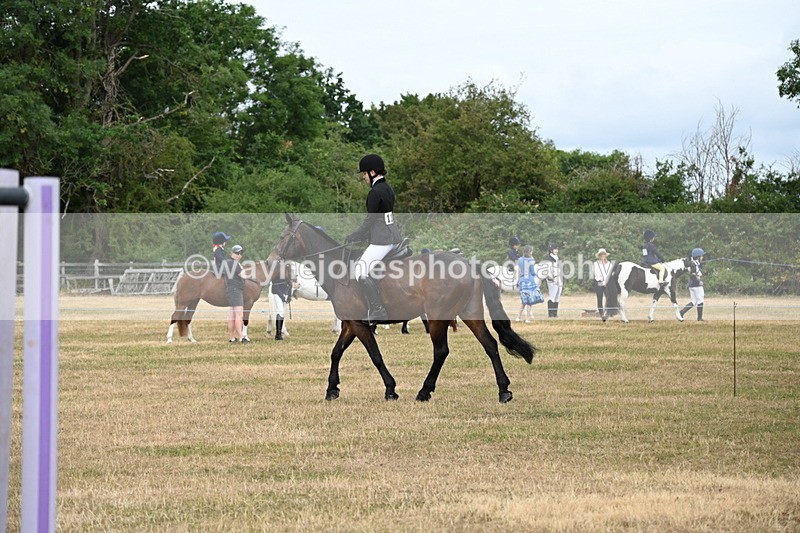 WJ6_3972 - Class 9 Tack & Turnout