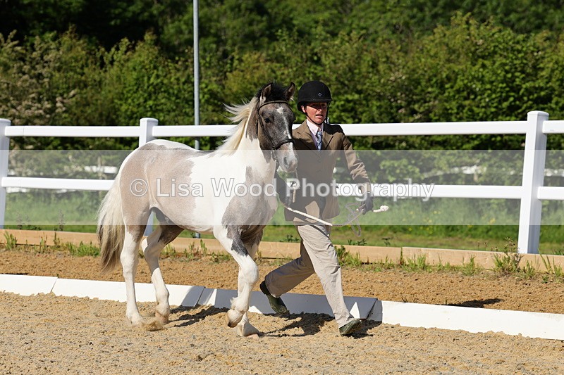 1X9A0644 - Class 3: Youngstock 1, 2, 3 year old not to exceed 153cm