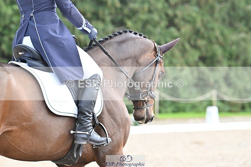 231019-143327-04543 - 125-KINDA.CORVETTE-Dani.Evans-DR