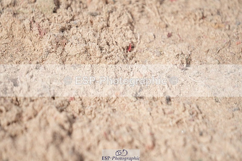 250902-151317-00048 - Clear Round