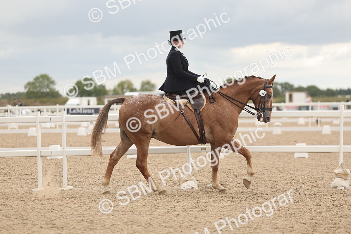 SBM_06413 - Class 23 - SSA - Classical