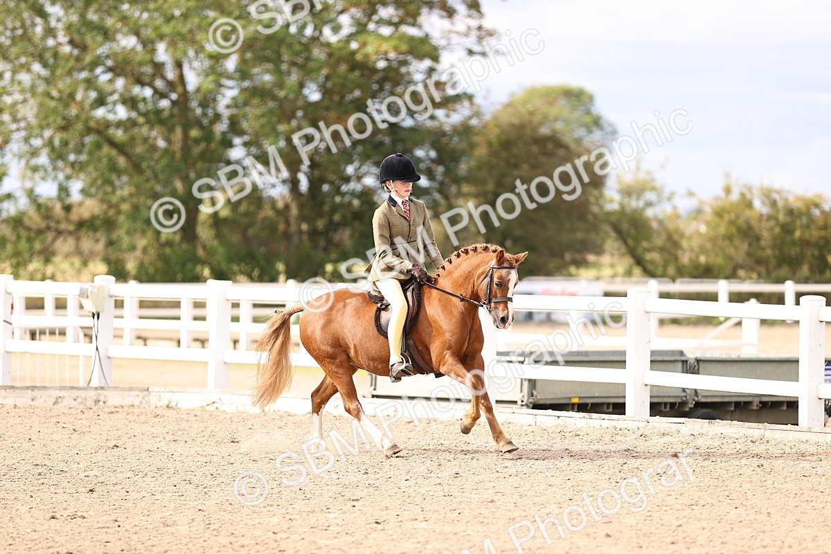 SBM_18031 - Class 422 - Equitation (Best Rider) Jnr