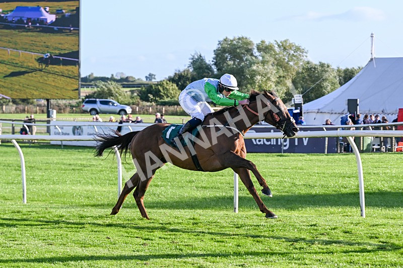 080926-Race 8-Zimmerman-3530 - Race 8 5.51pm Racing Again 30th September Amateur Jockeys' Handicap