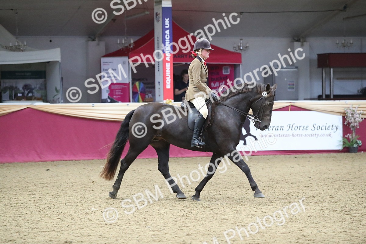 SBM_16436 - Class 502 M&M Ridden Supreme Final