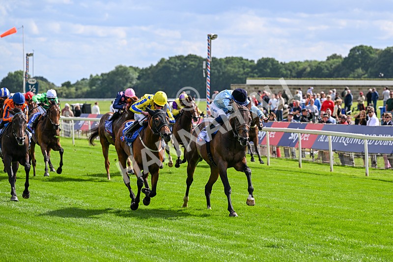 120626-Race 5-Antipodes-7823 - Race 5 16.10pm Sky Bet The World's Gone Football Handicap