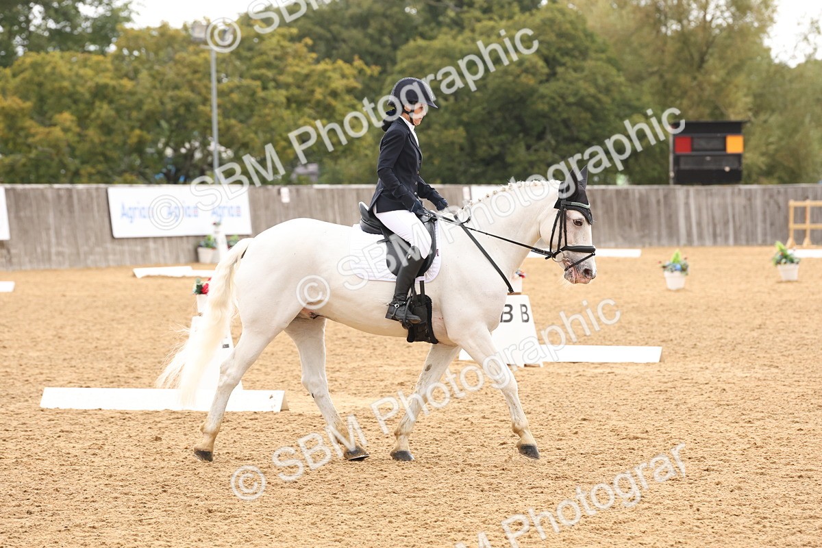 SBM_44061 - D6 - Small Tour Championship Intro 4