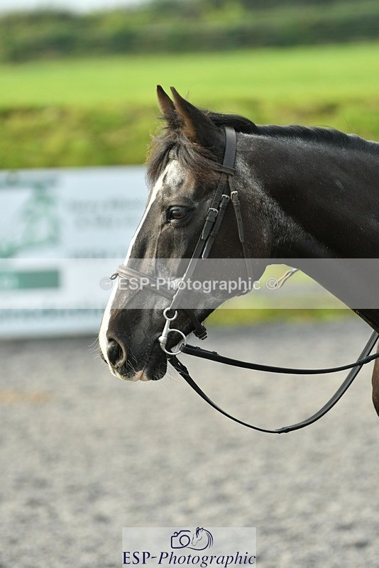 230817-085246-00028 - Theo's 1st Group - Arena