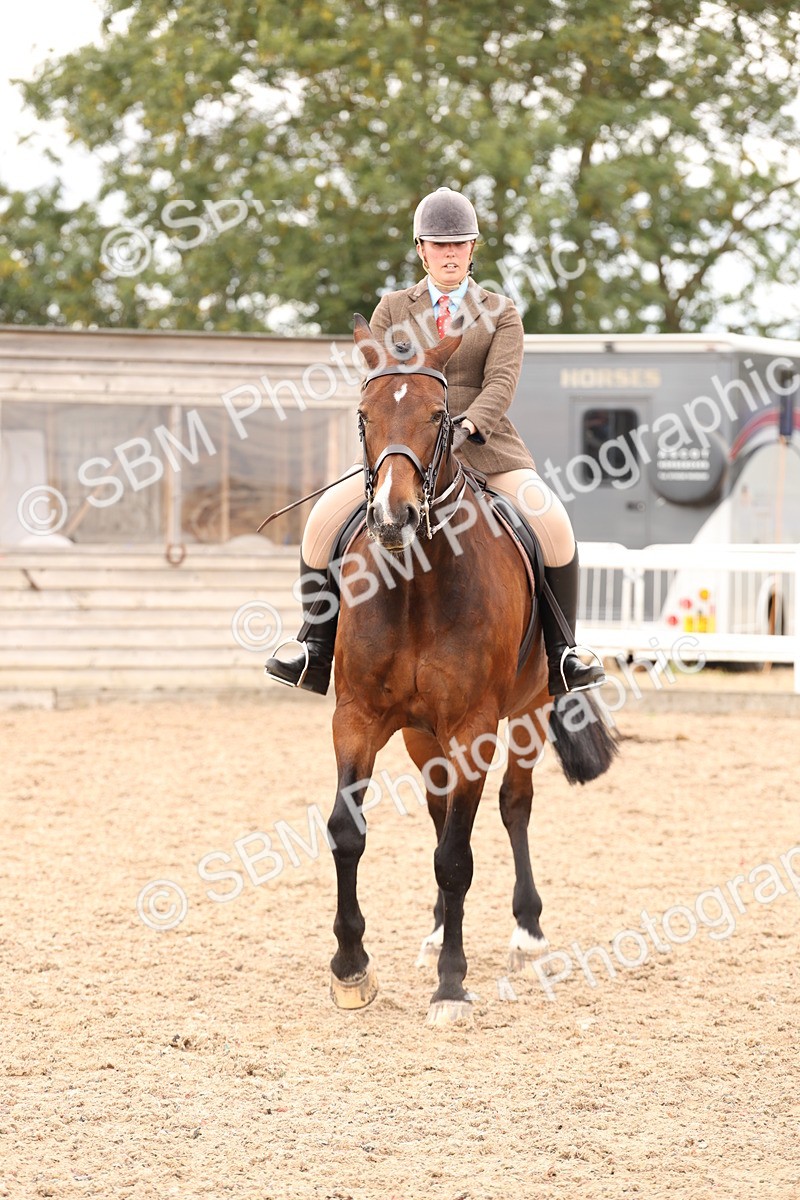 SBM_17256 - Class 213 - Ridden Hunter - Large