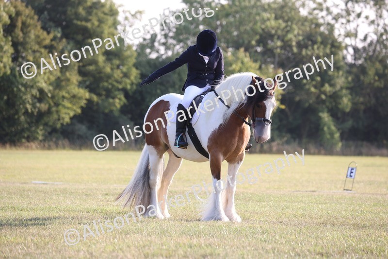 20250731-0814 - Class 1 - Intro 4