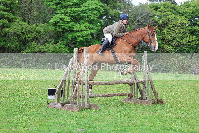 3E7A2526 - Classes 30 and 31: 80cm Working Hunter