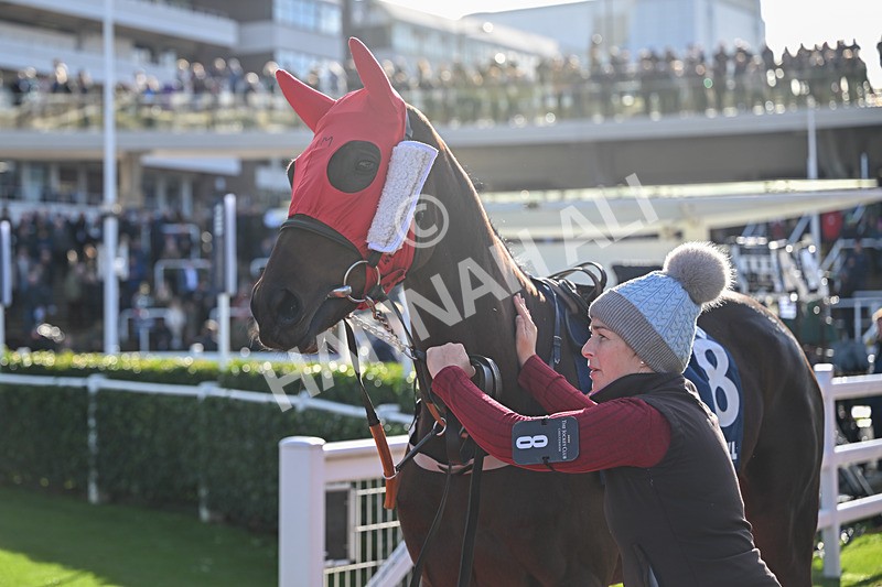 251025-Race 3-Fascile Mode-8076 - Race 3