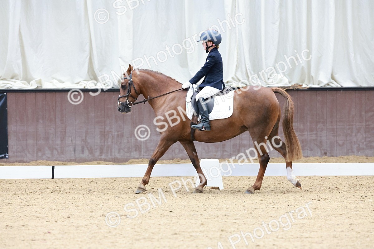 SBM_003153 - Intro 2