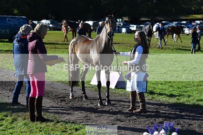 231022-111556-23847 - 558-BATHLEYHILLS.GOLDEN.SPRAY-Cleo.Whitbread-TrotUp+SJ