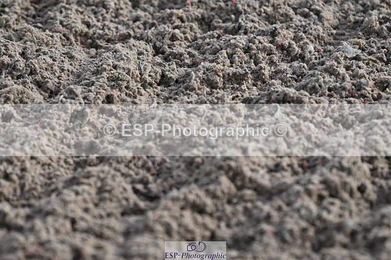 240315A-095039-00128 - Cls 1 Seniors 1.05 and 1.10m Open