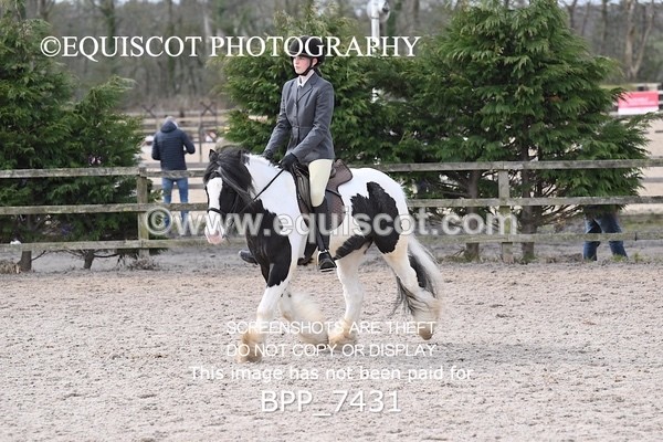 BPP_7431 - RING 1  (RIDDEN HORSES / IN HAND / VETERAN ETC)