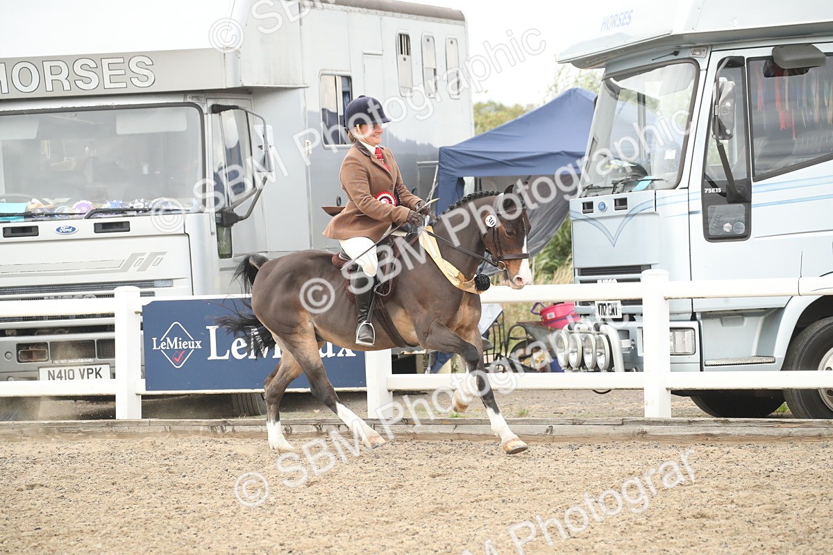 SBM_17953 - Class 508b - Working Veteran 70cm (20+)