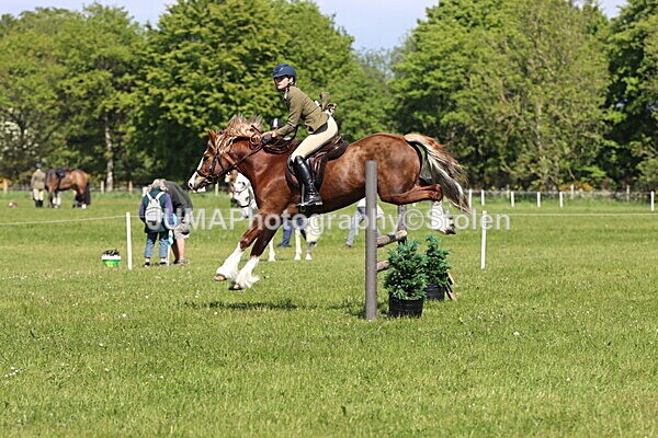 IMG_4343 - Working Hunter