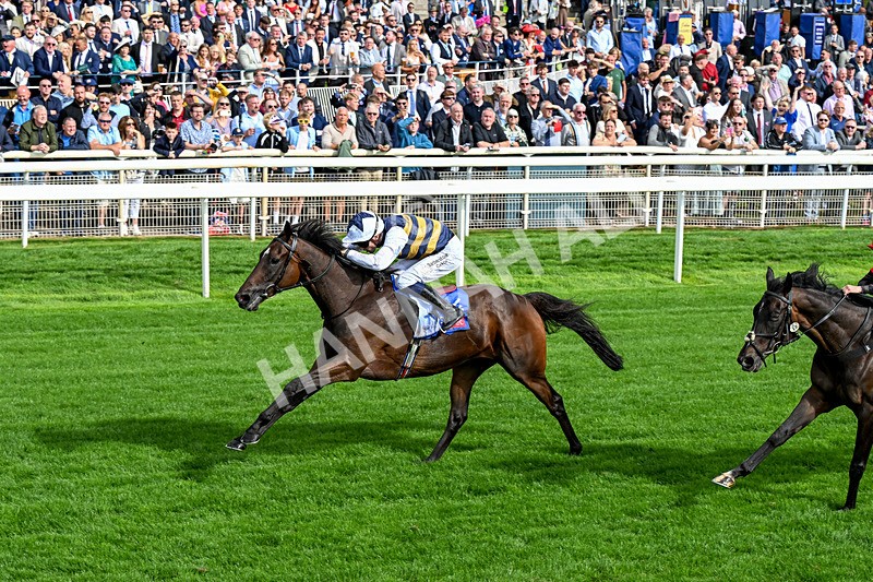 190826-Race 5-Small Fry-0669 - Race 5 16.10pm Sky Bet Stayers Handicap